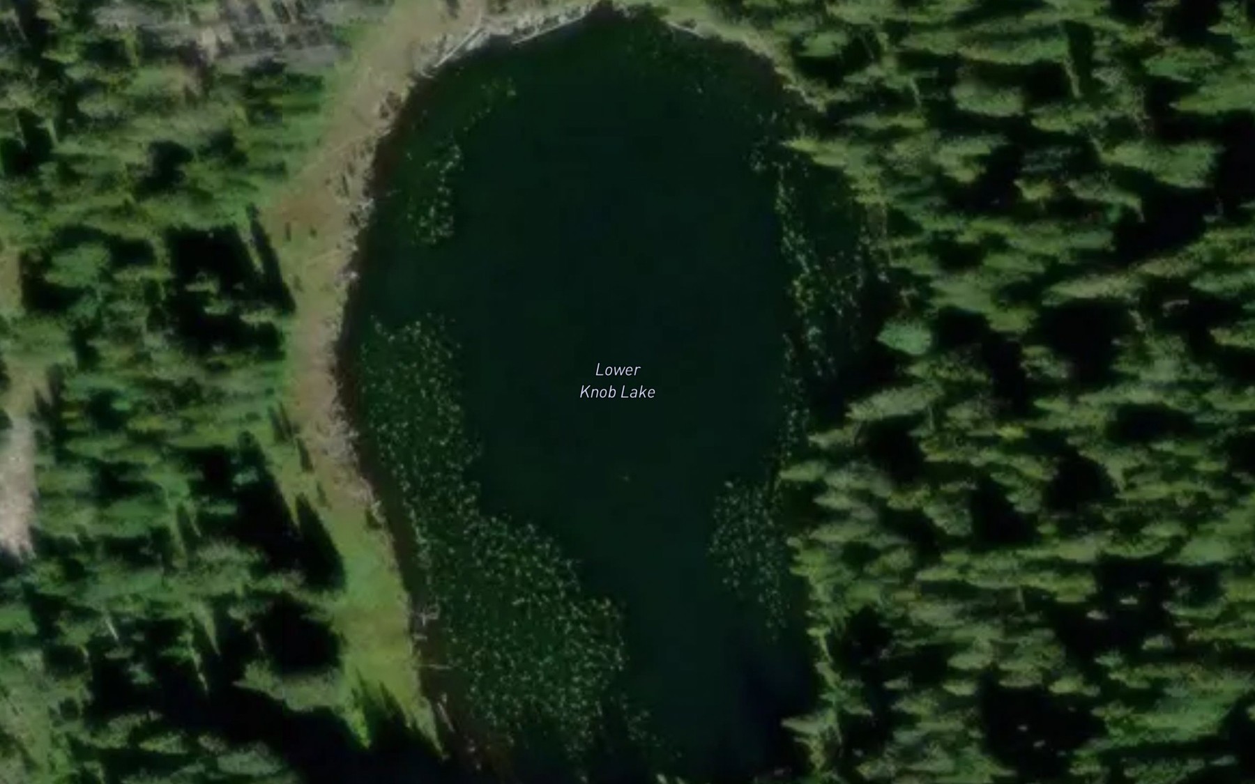Satellite map of the Lower Knob Lake