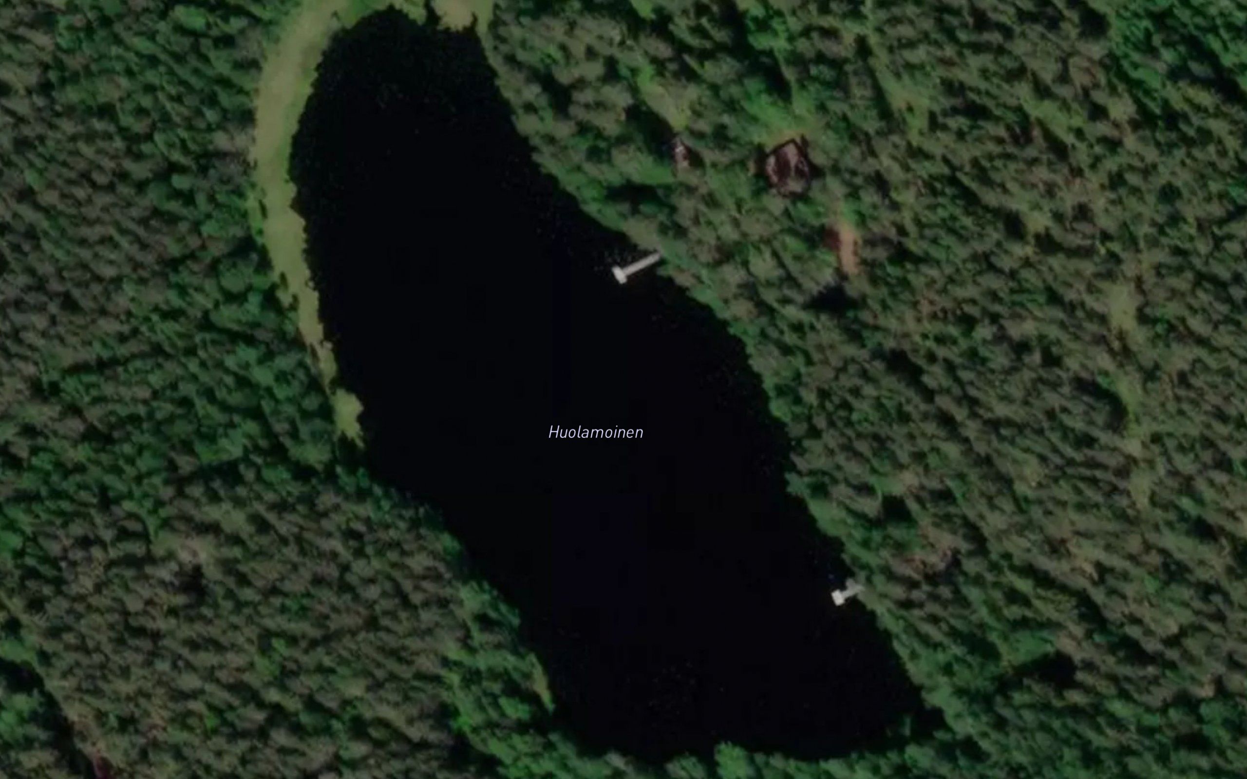 Huolamoinen