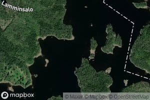Hautavirta