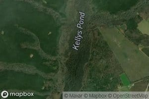 Kellys Pond