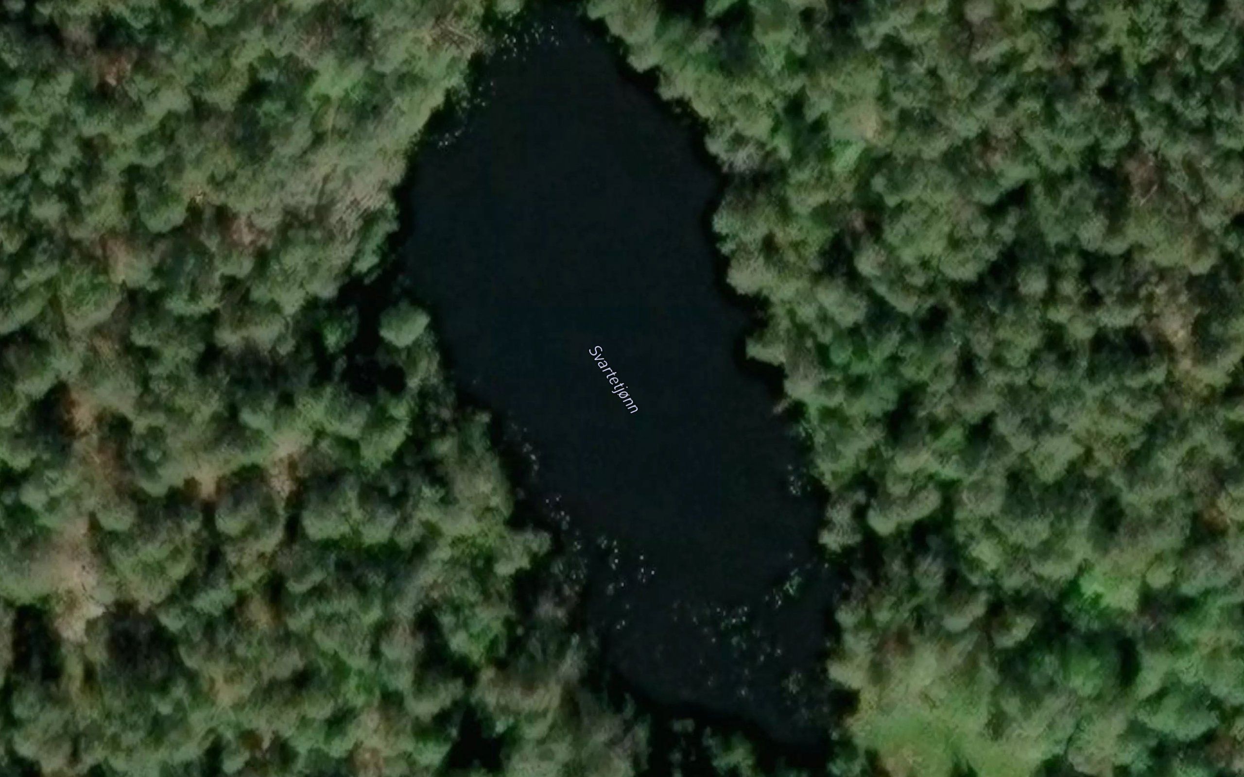 Svartetjonn