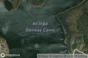 Vozyera Svina
