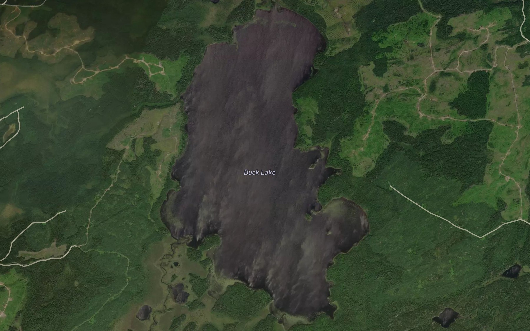 Satellite map of the Buck Lake