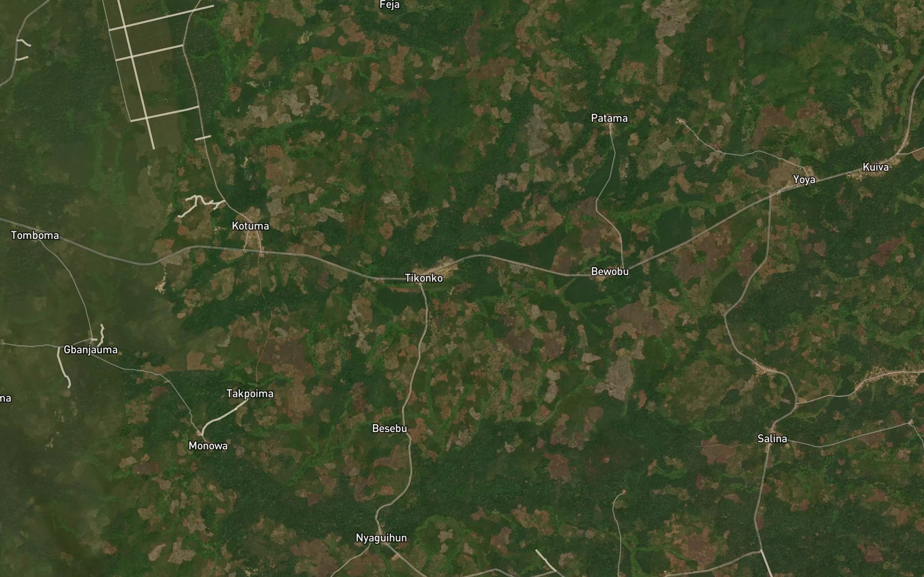Satellite map of the Bunja