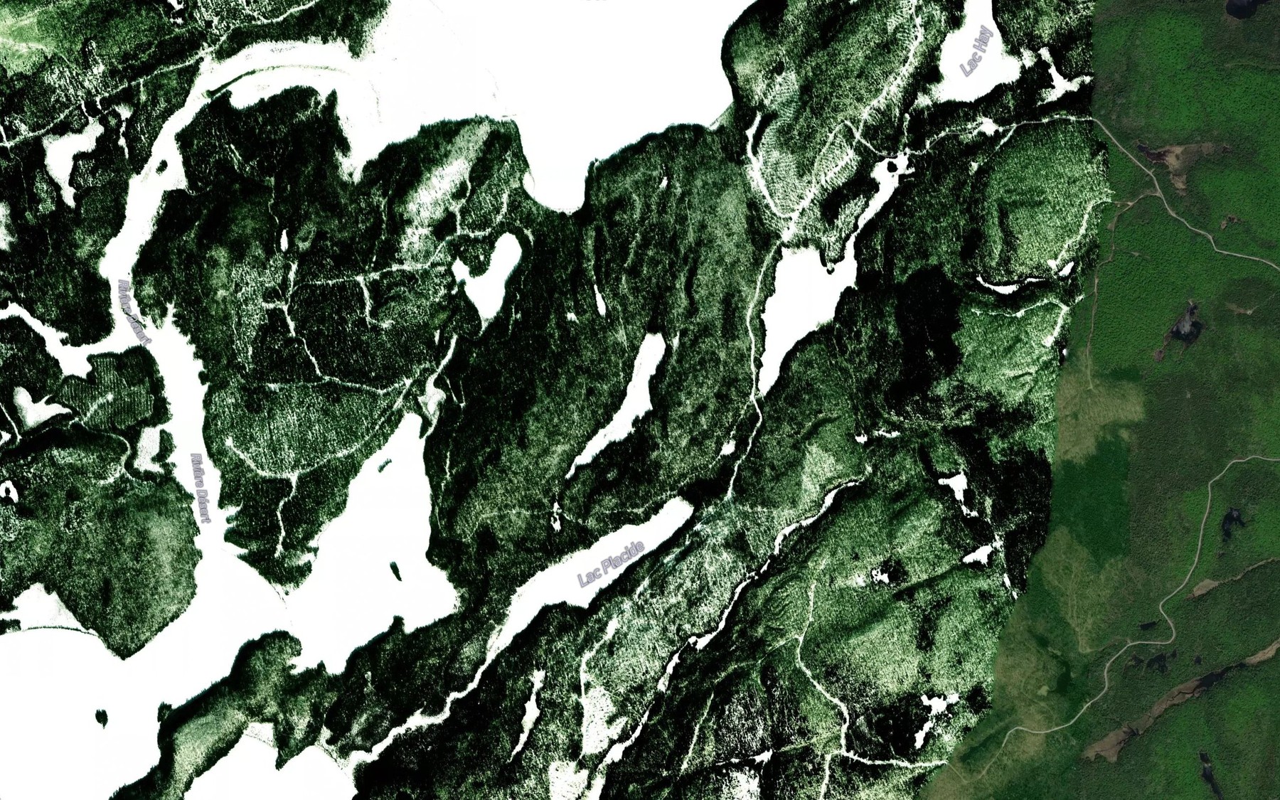 Satellite map of the Lac de Lavardin