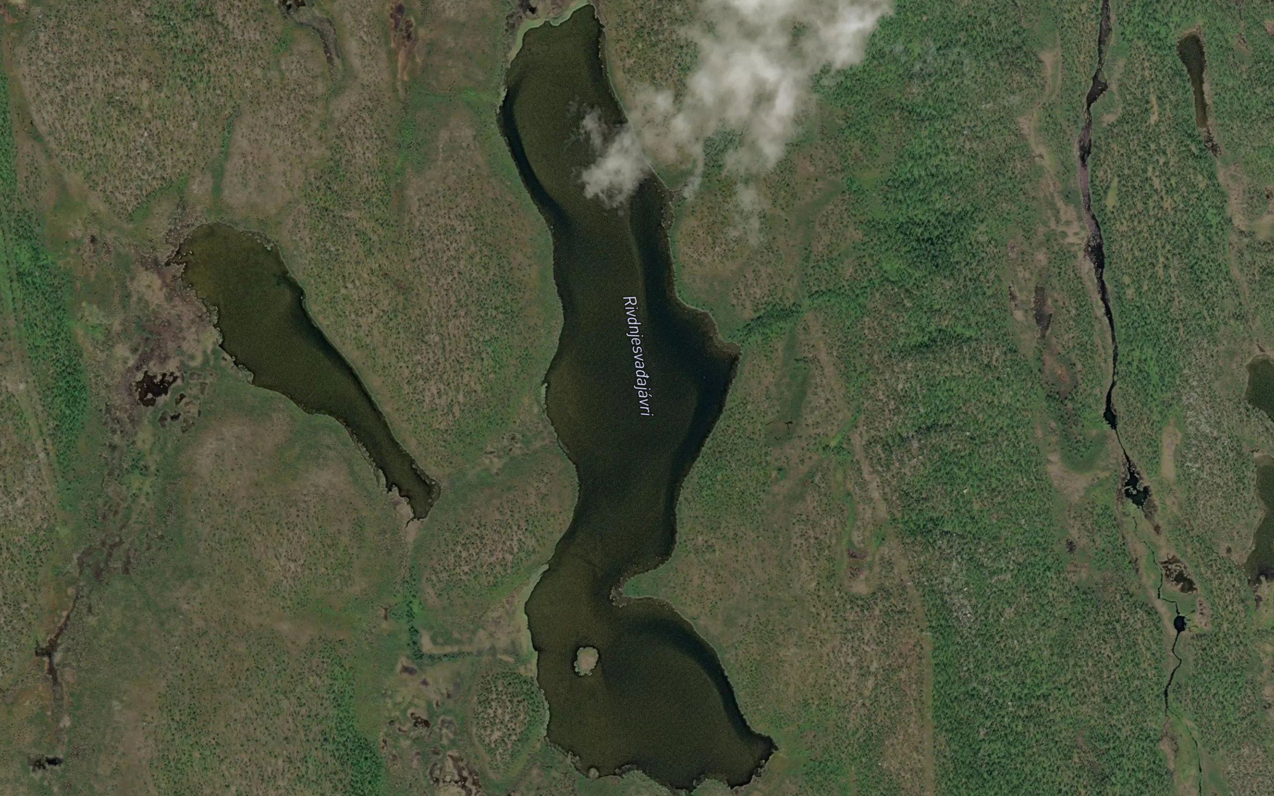 Rivdnjesvaggejavri