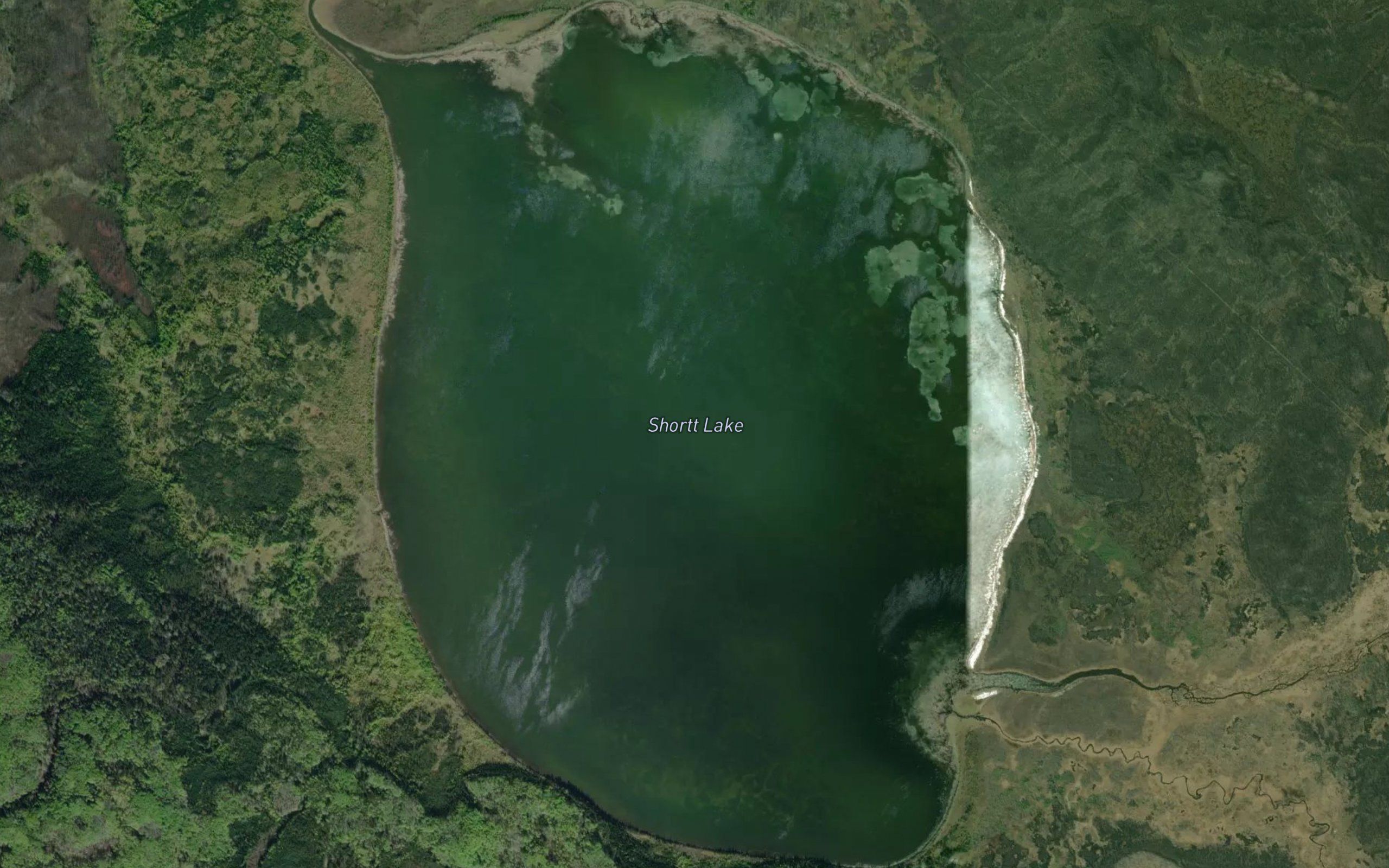 Shortt Lake