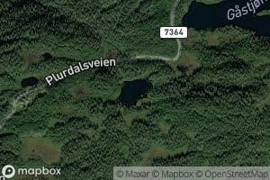 Engestjorna