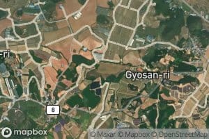 Gyosanje