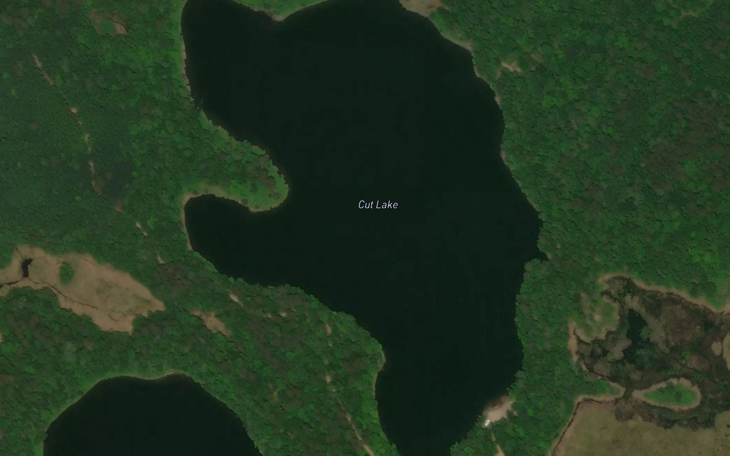 Cut Lake