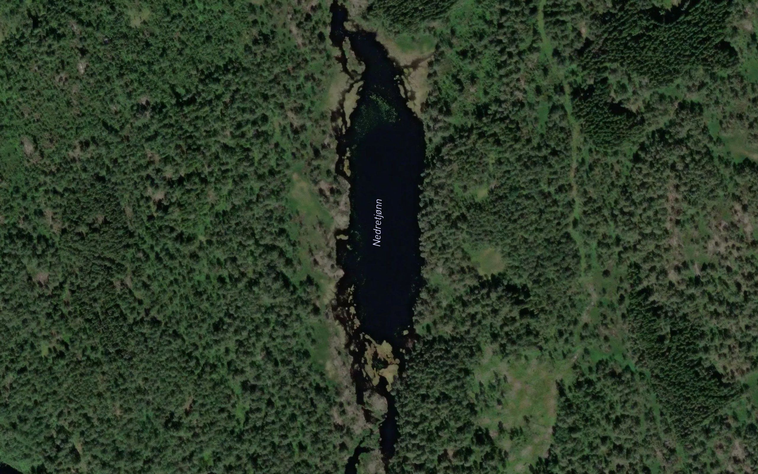 Nedretjorna