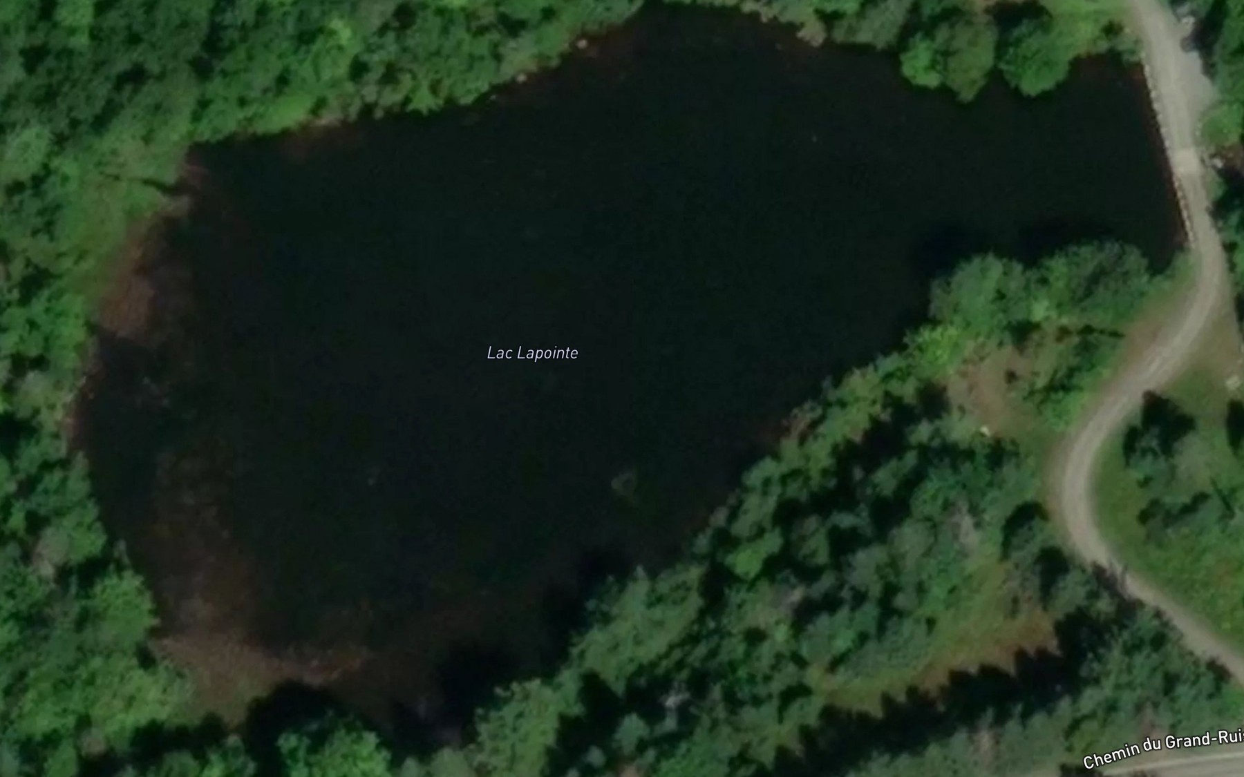 Satellite map of the Lac Lapointe