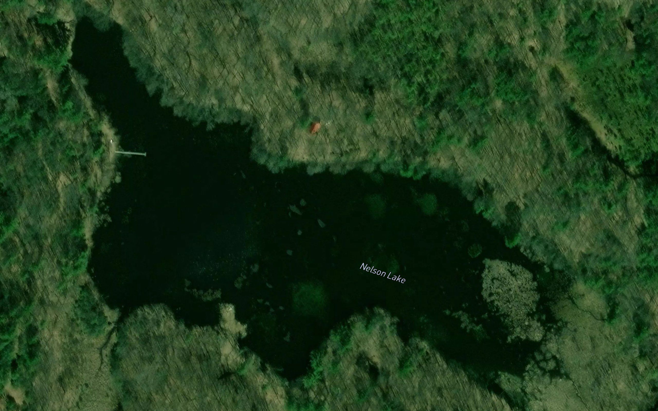 Nelson Lake