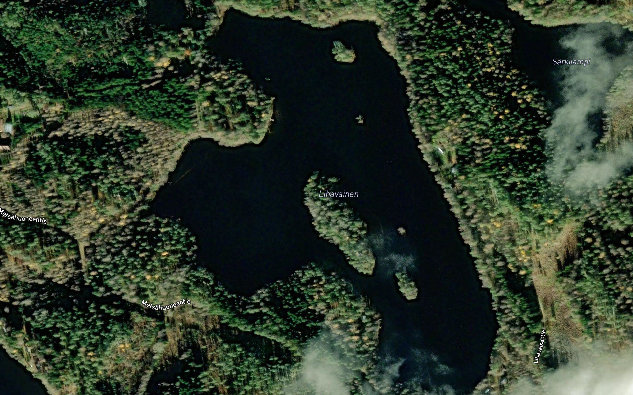 Lihavainen