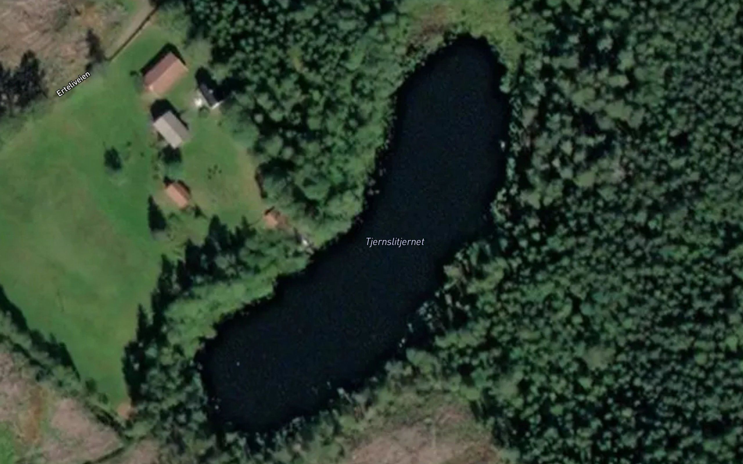 Tjernslitjernet