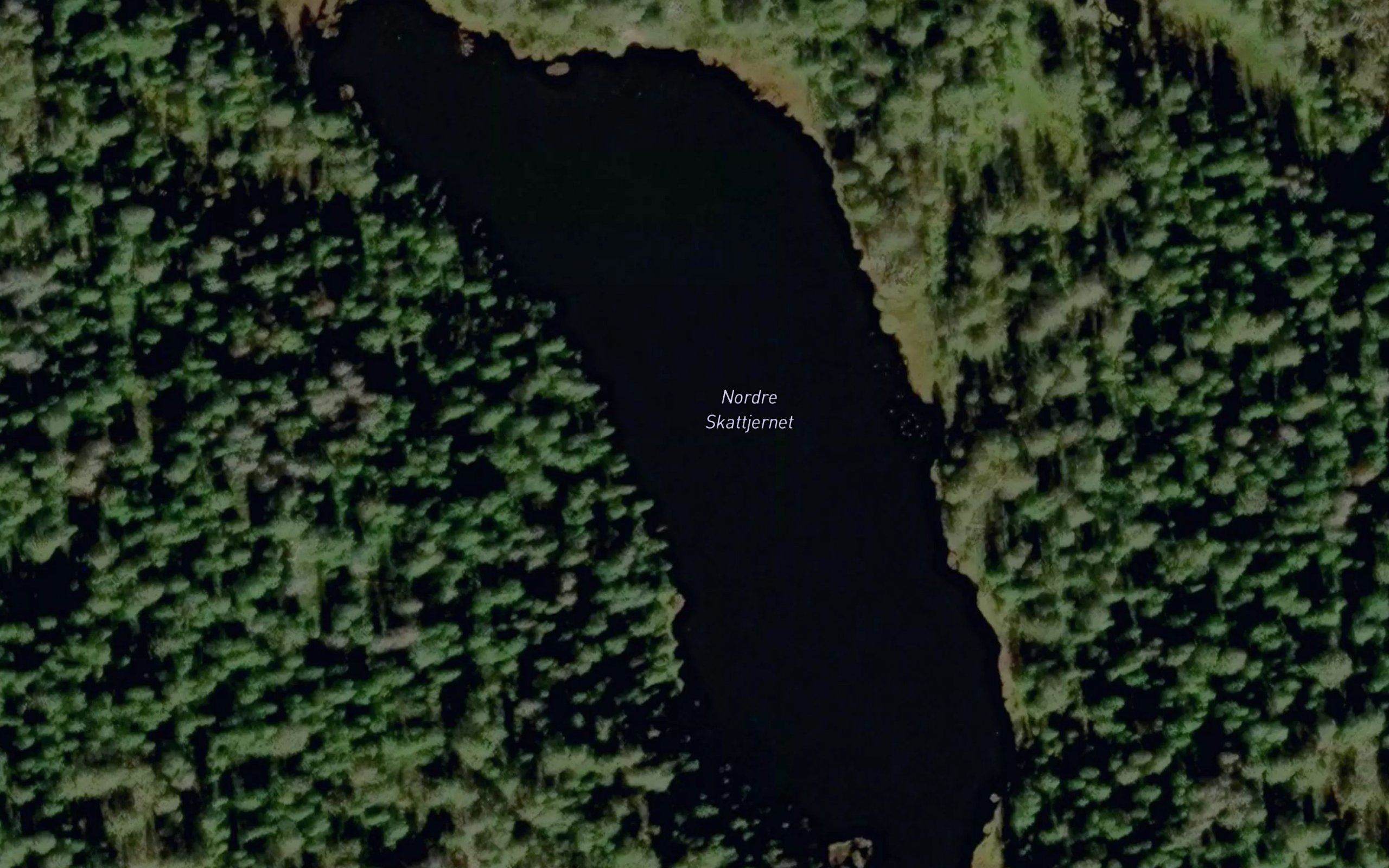 Skattjern