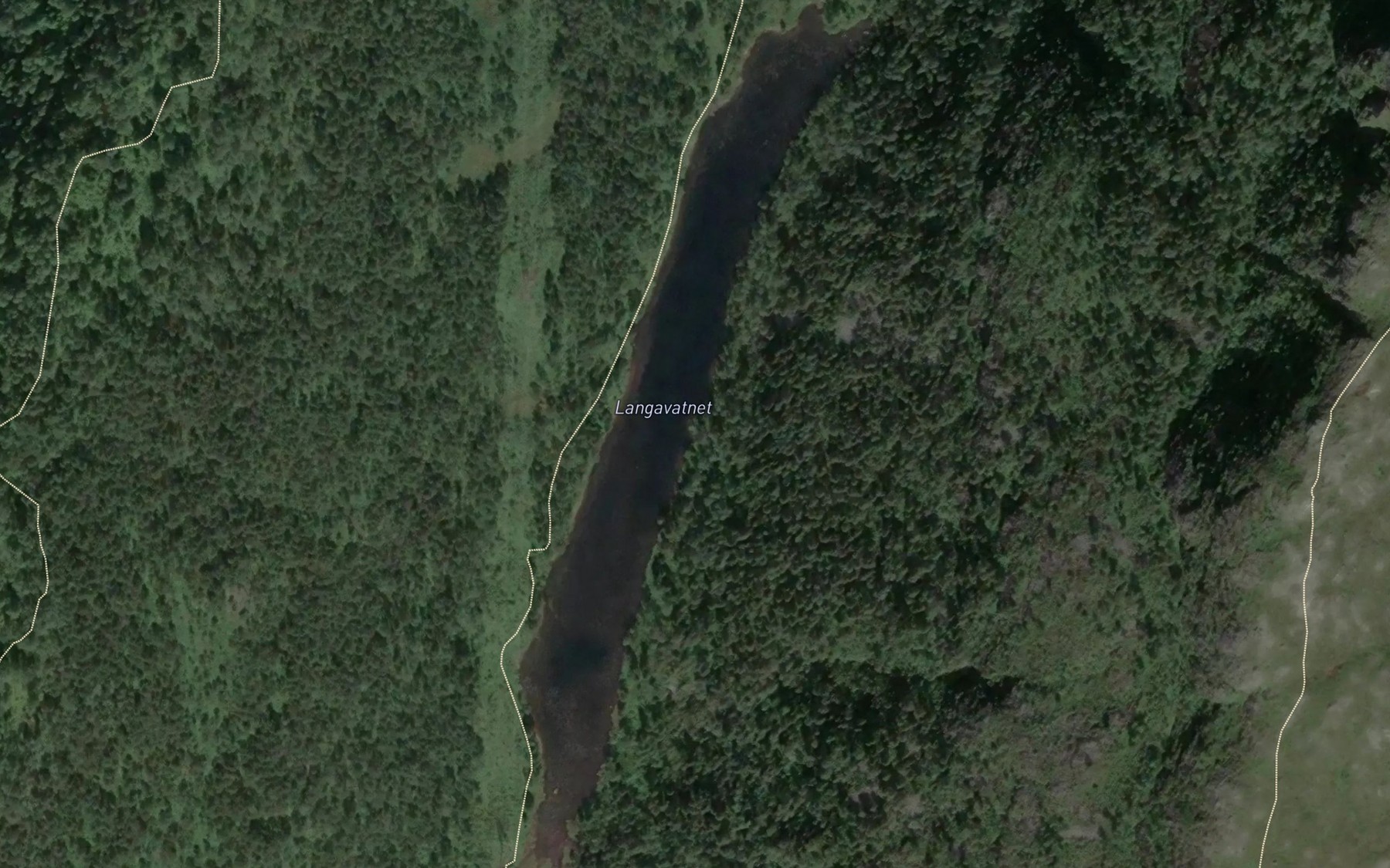 Satellite map of the Langavatnet