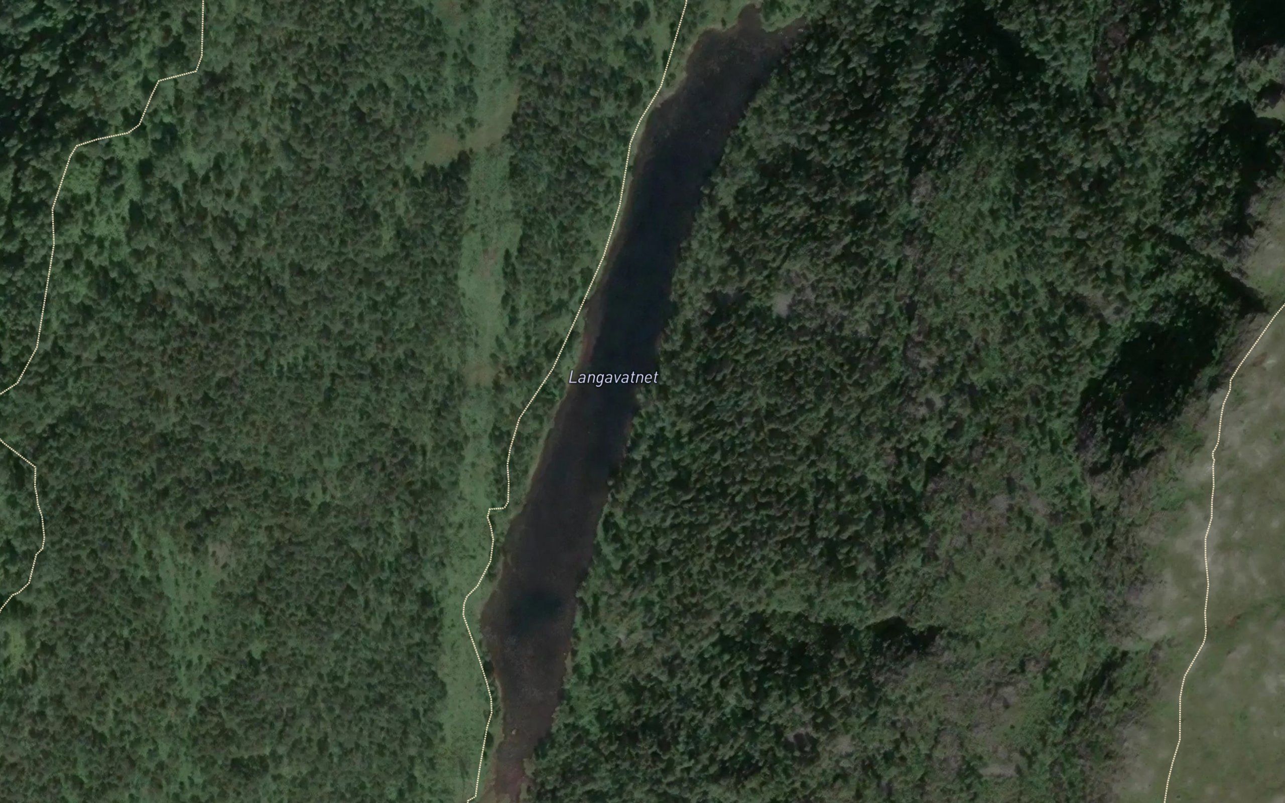 Langavatnet
