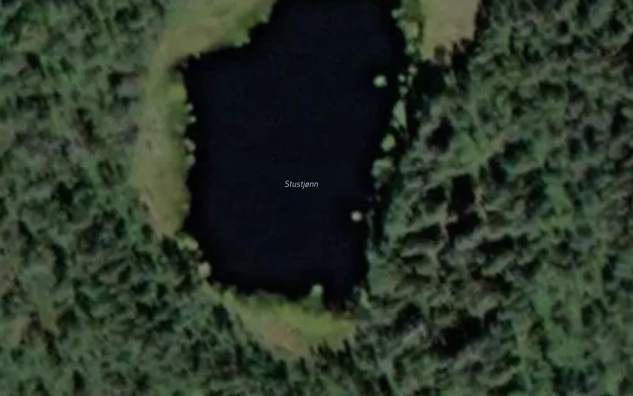 Stustjonn