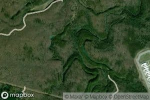 Back Creek