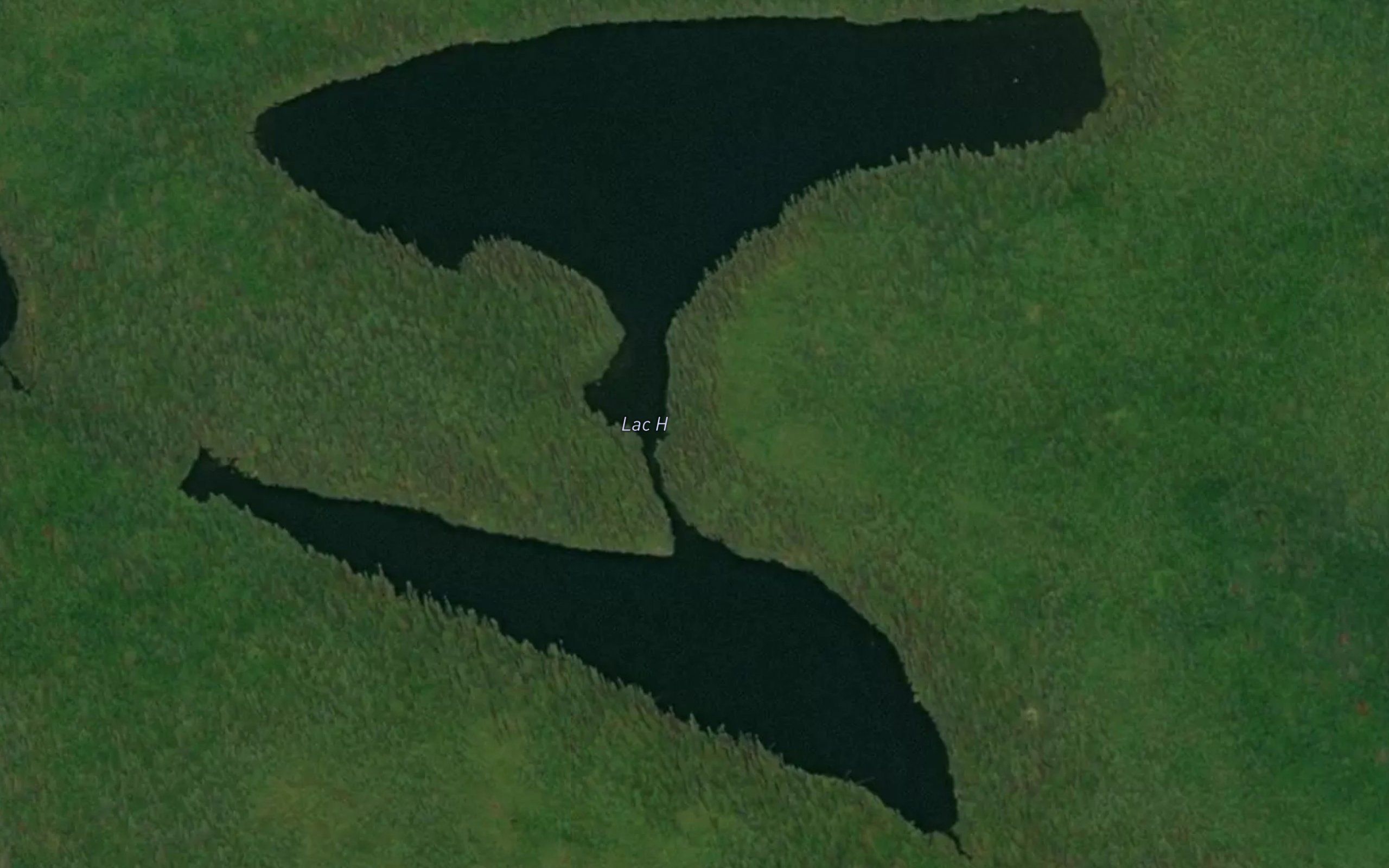 Lac H