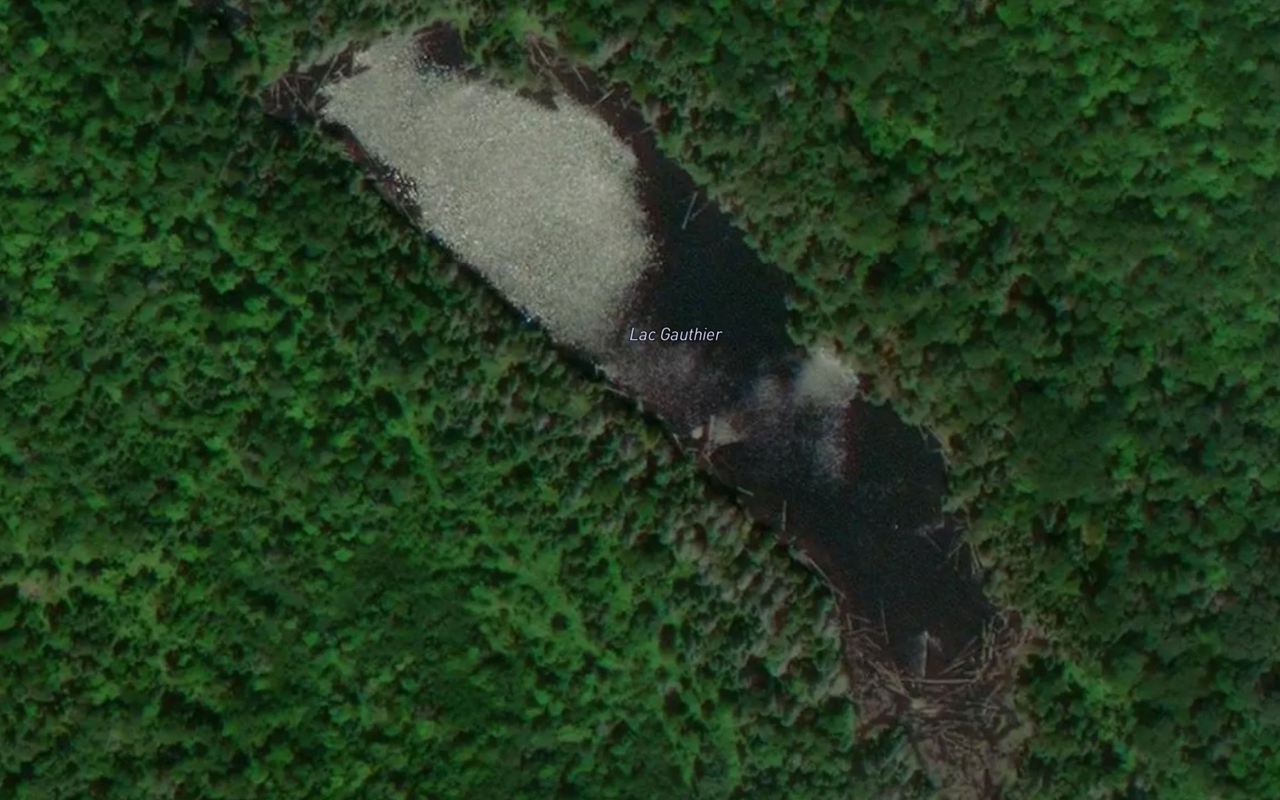 Satellite map of the Lac Gauthier