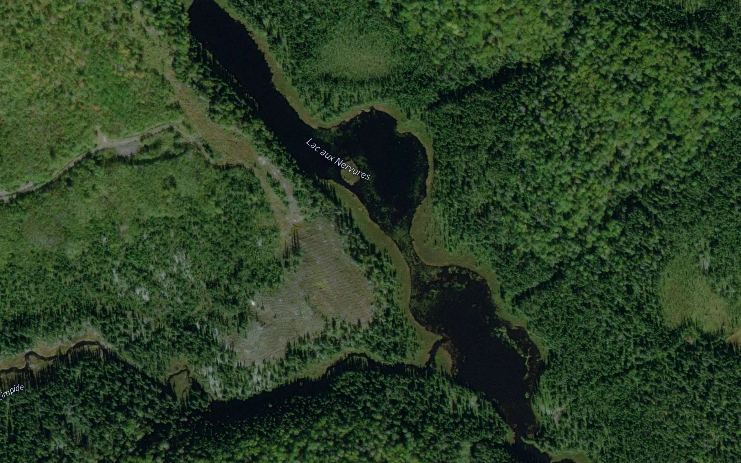 Lac aux Nervures