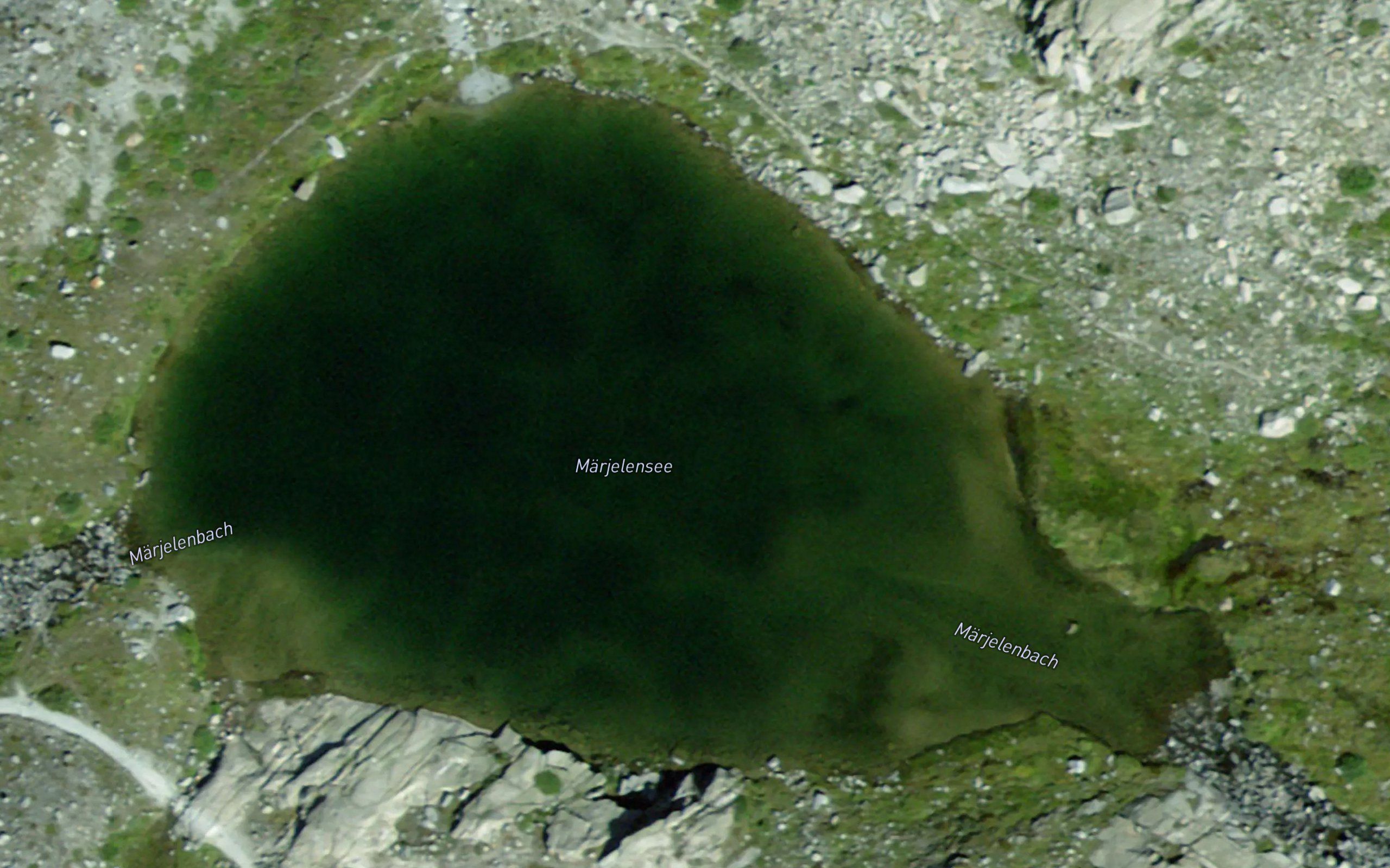 Marjelenseen