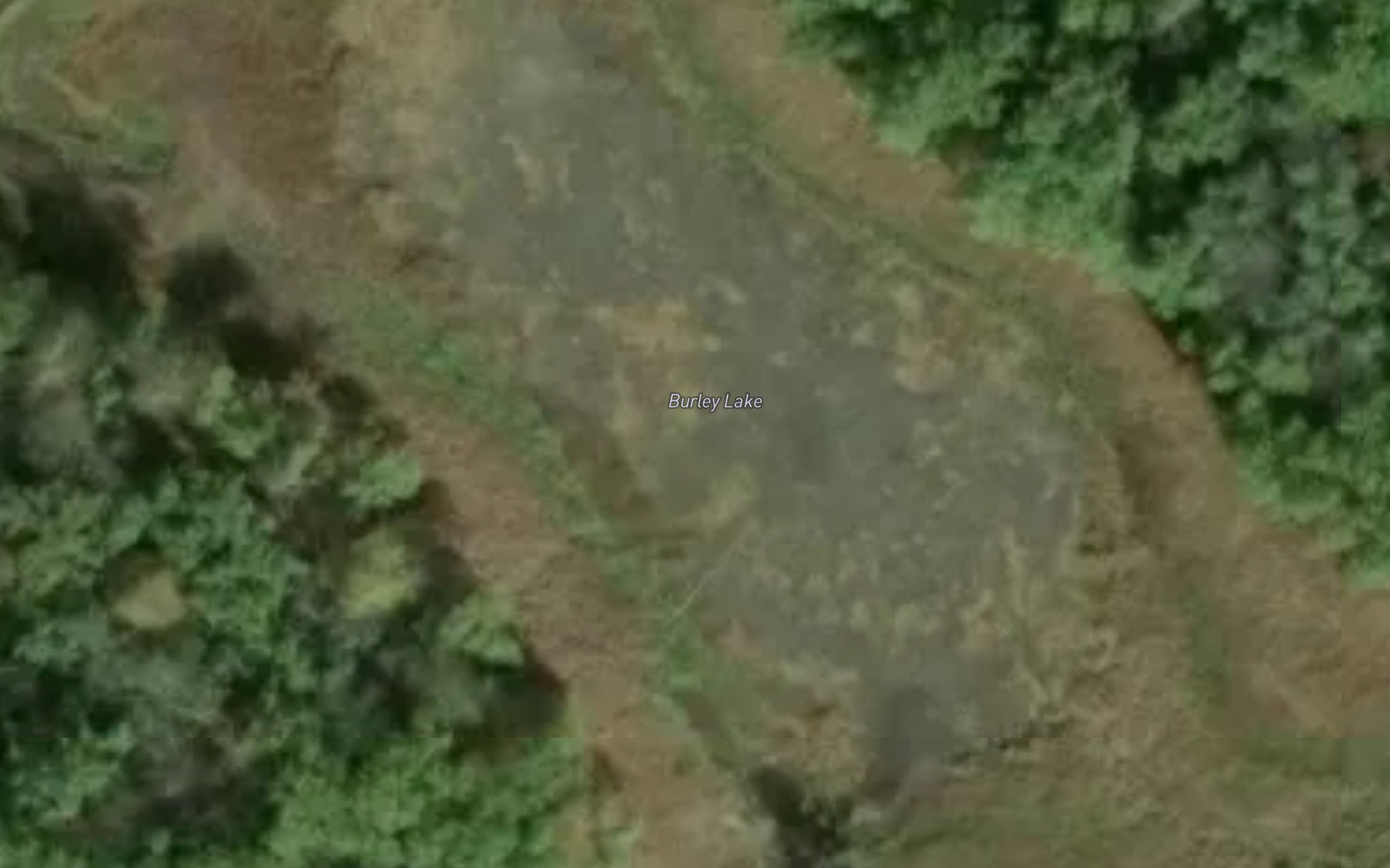 Satellite map of the Burley Lake