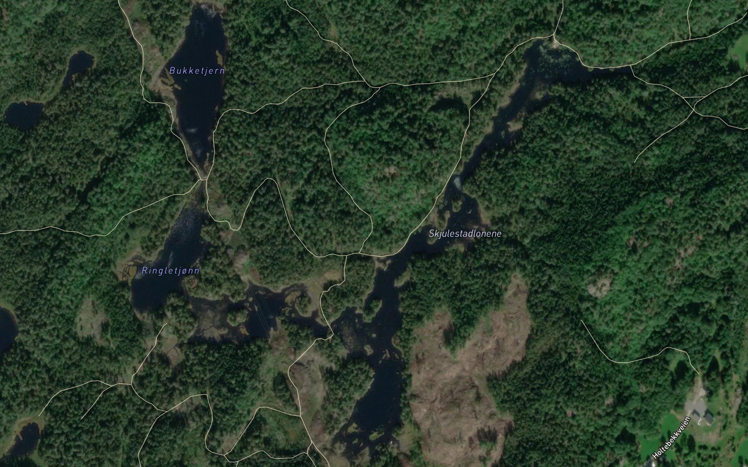 Bukketjonn