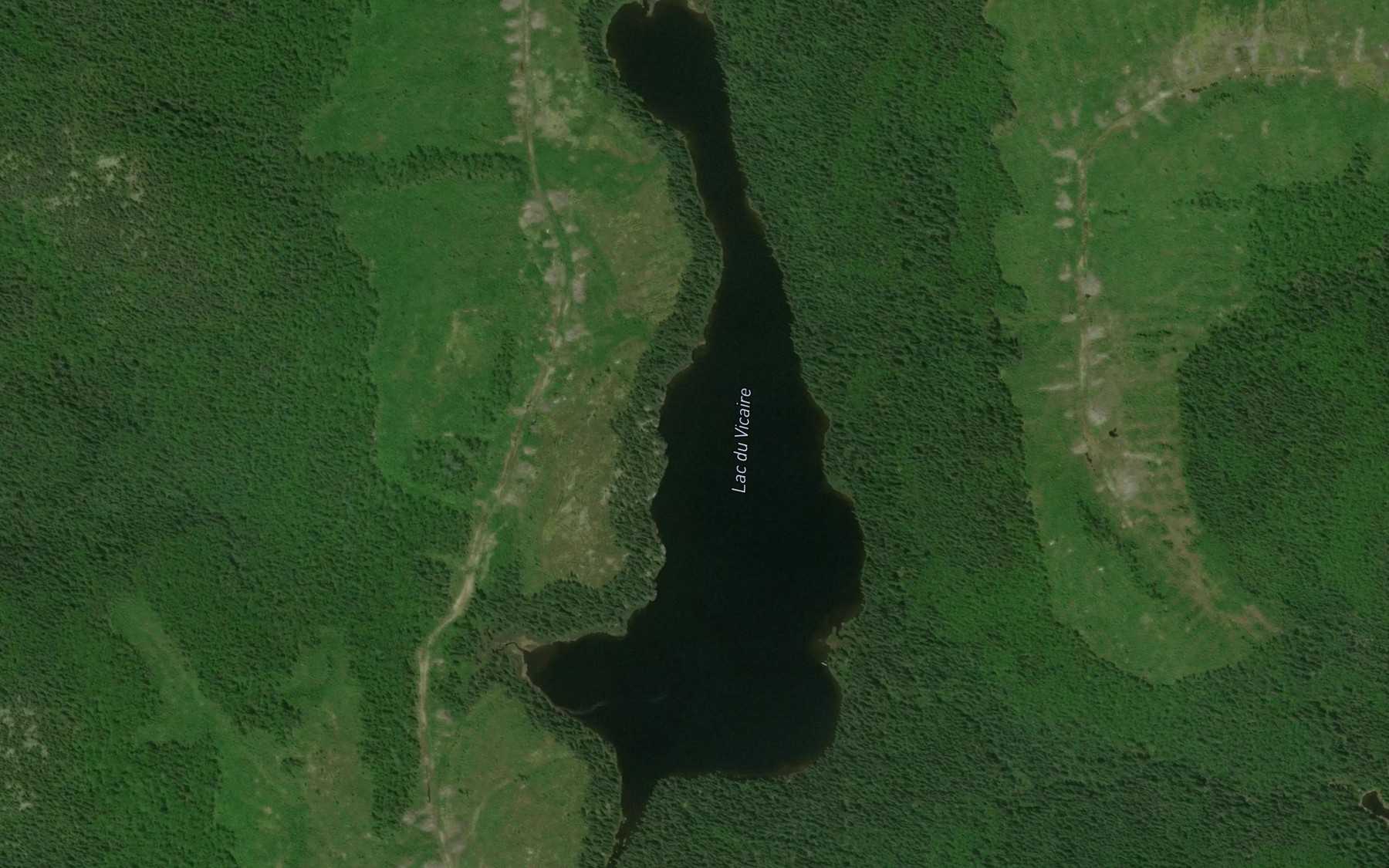 Satellite map of the Lac du Vicaire
