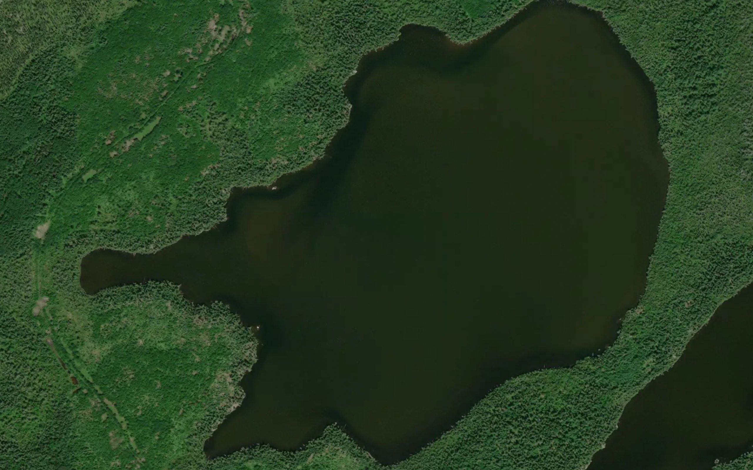 Flute Lake