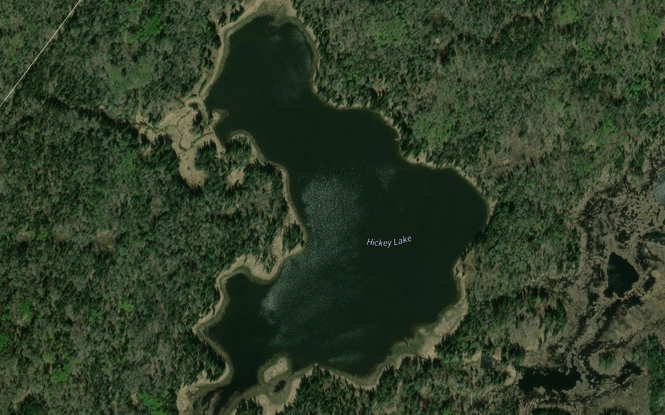 Hickey Lake