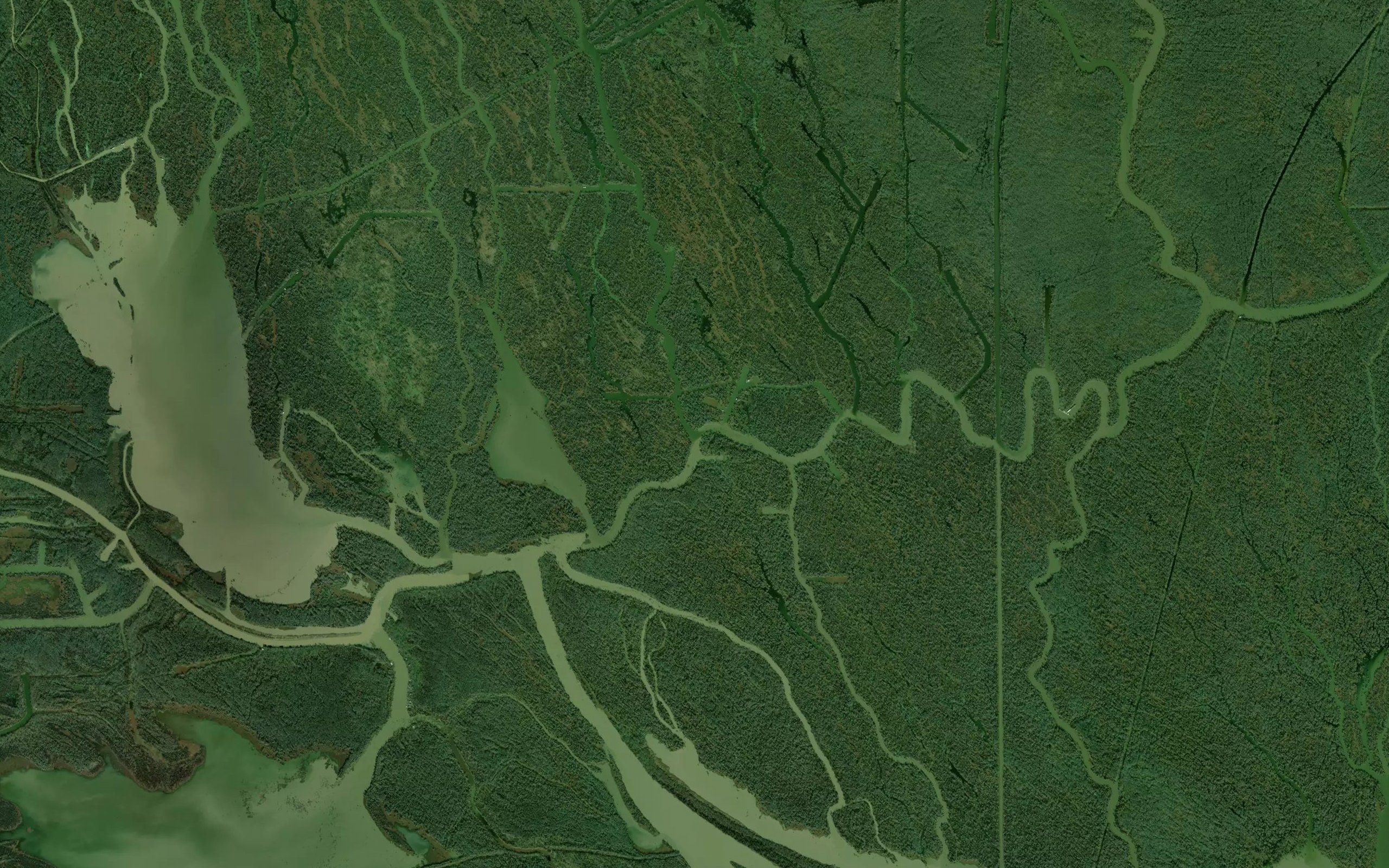 Bayou April