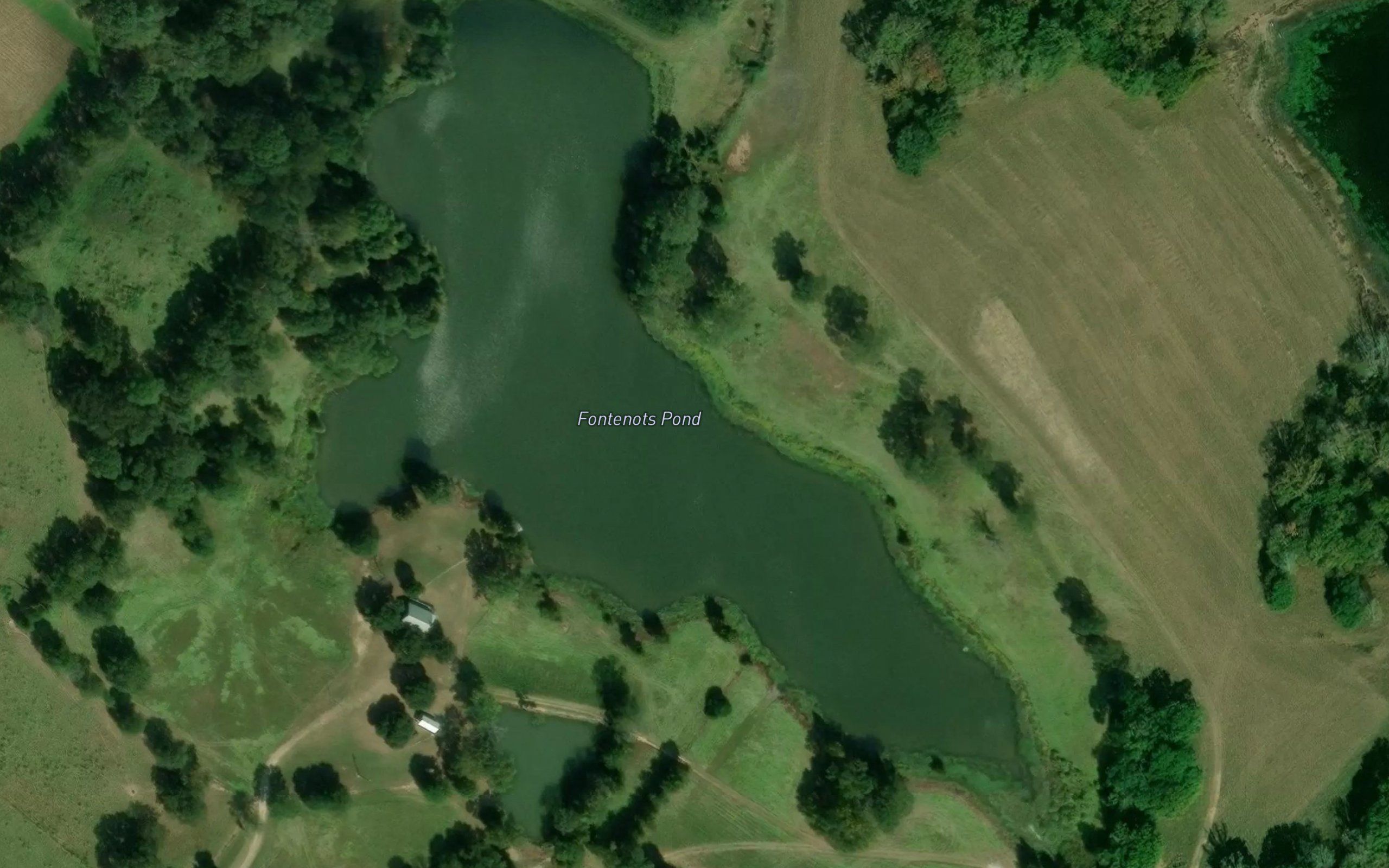 Fontenots Pond
