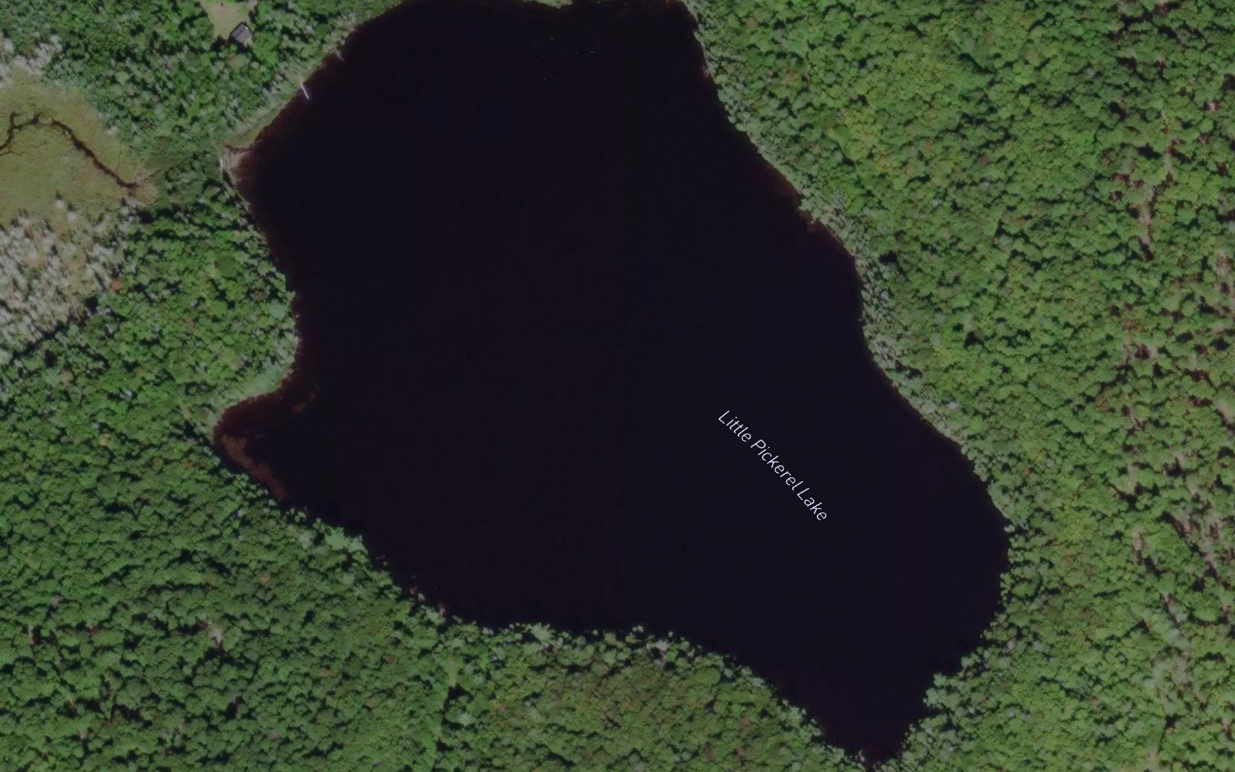 Satellite map of the Little Pickerel Lake
