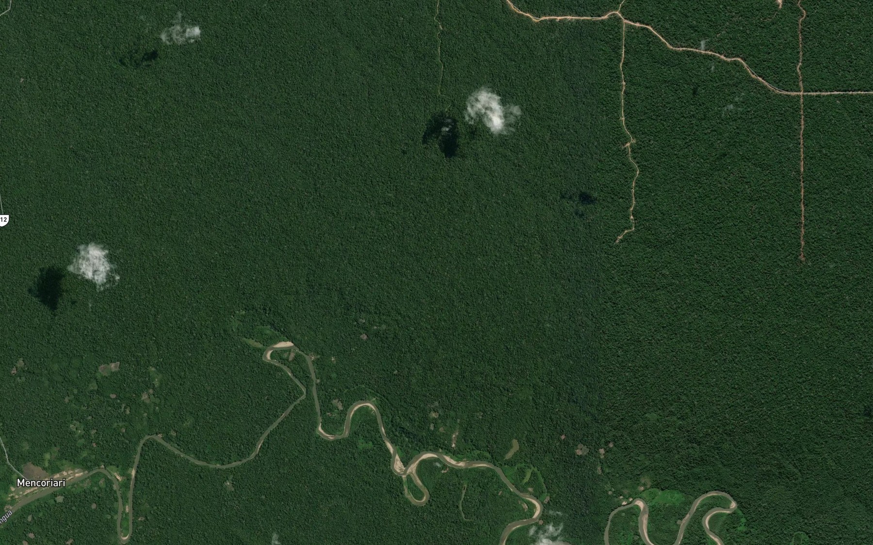 Satellite map of the Rio Tambiami