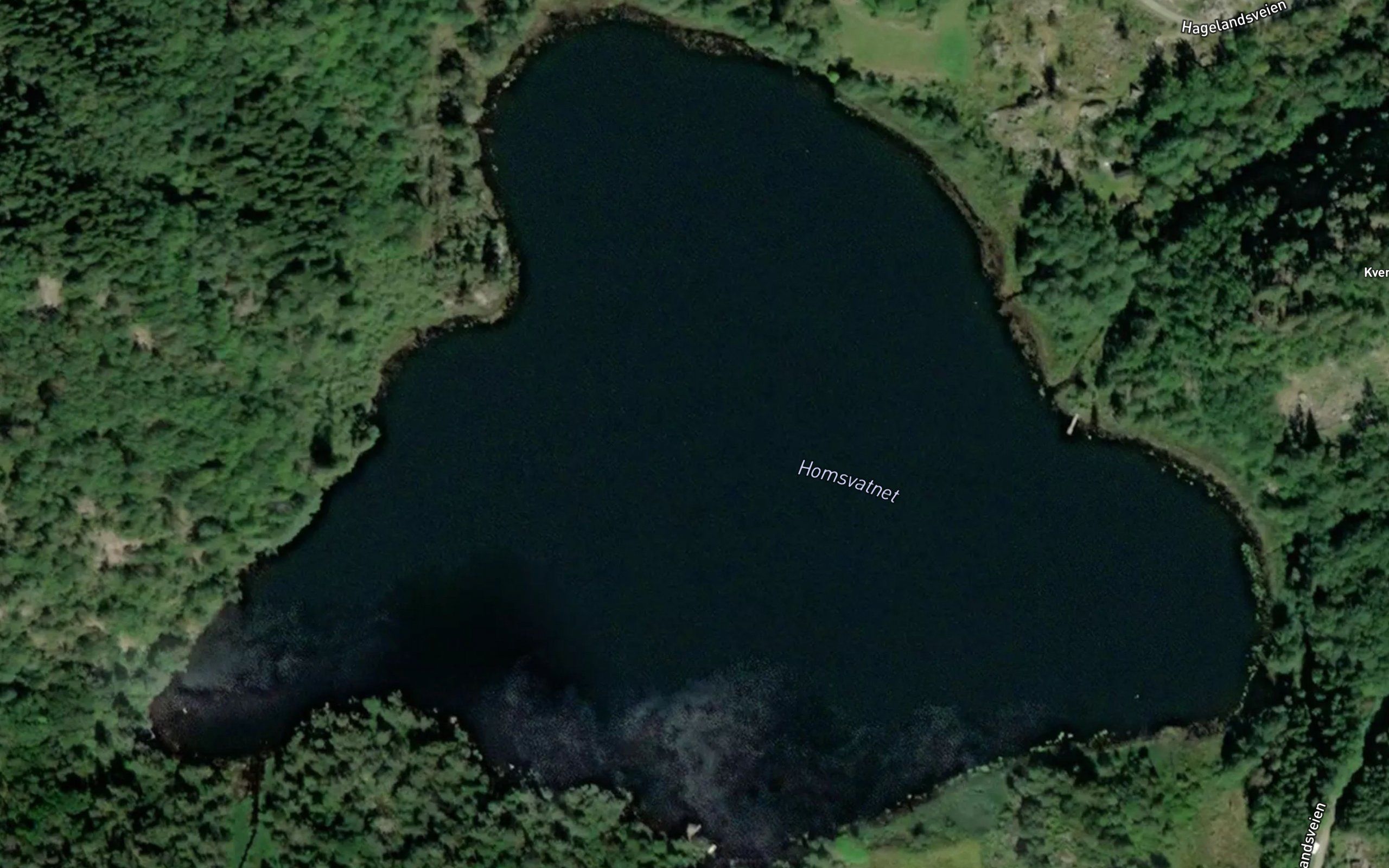 Homsvannet