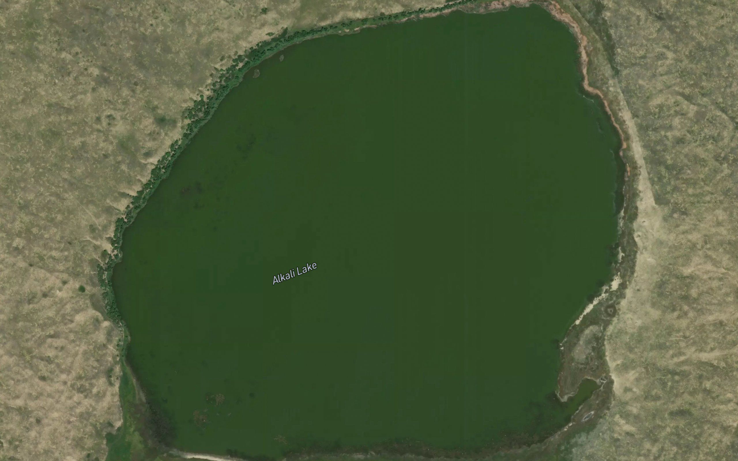 Alkali Lake