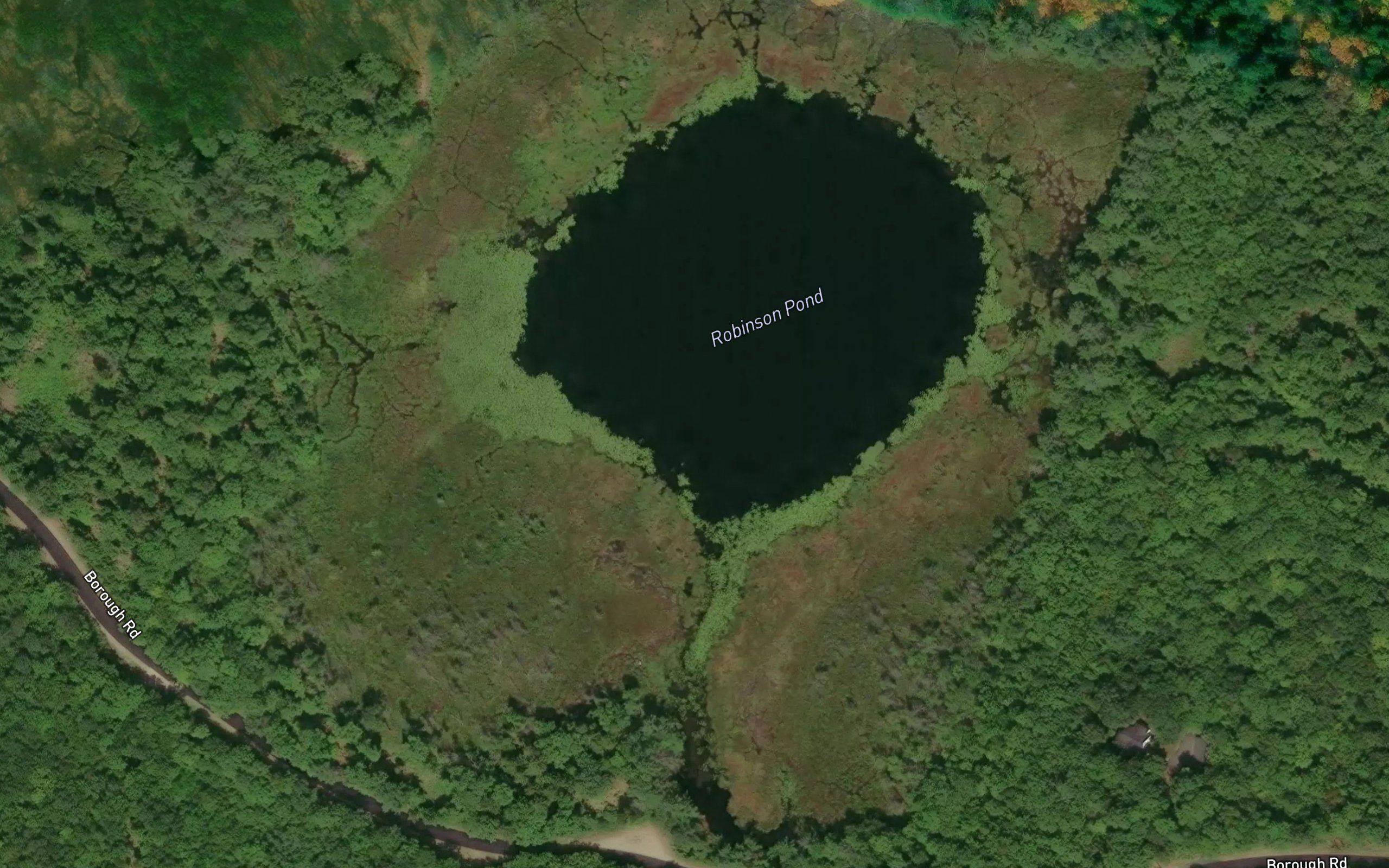 Robinson Pond