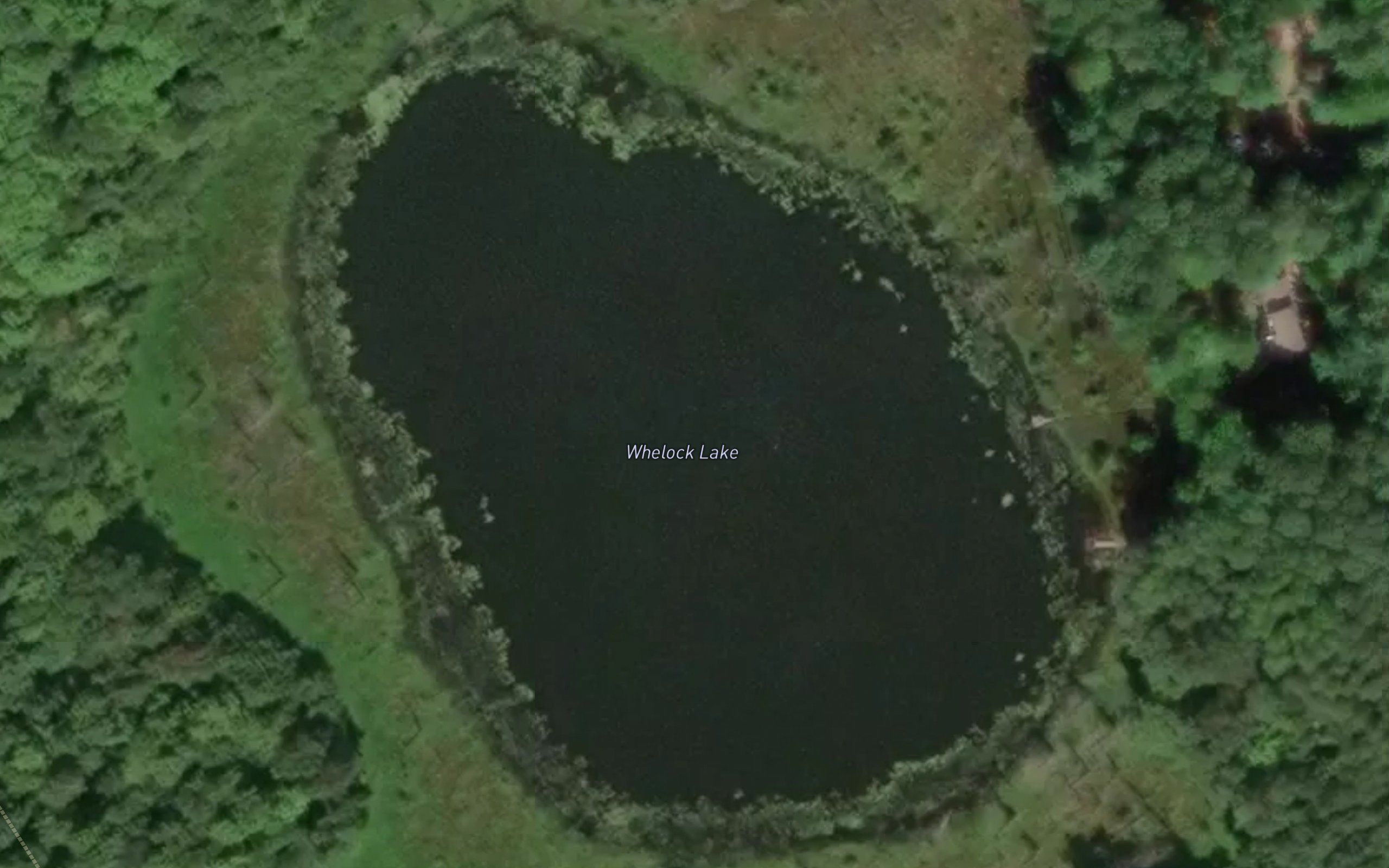 Whelock Lake