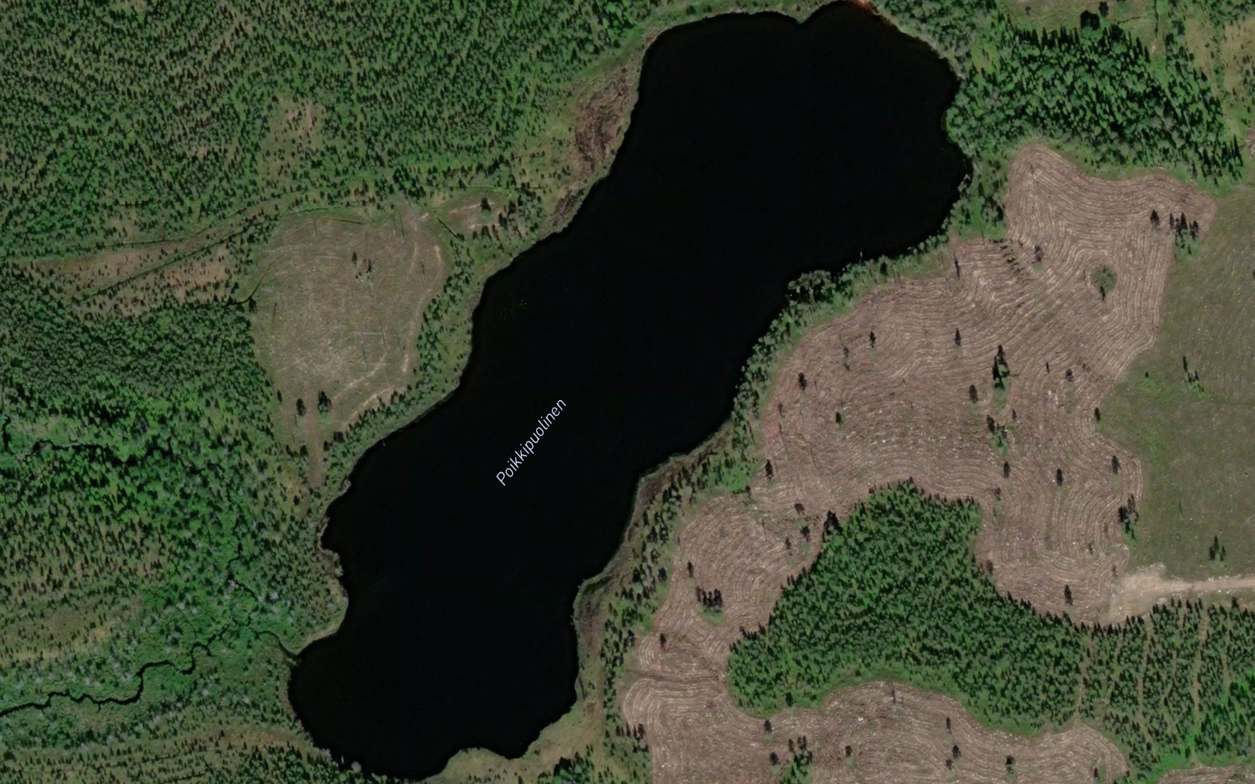 Poikkipuolinen
