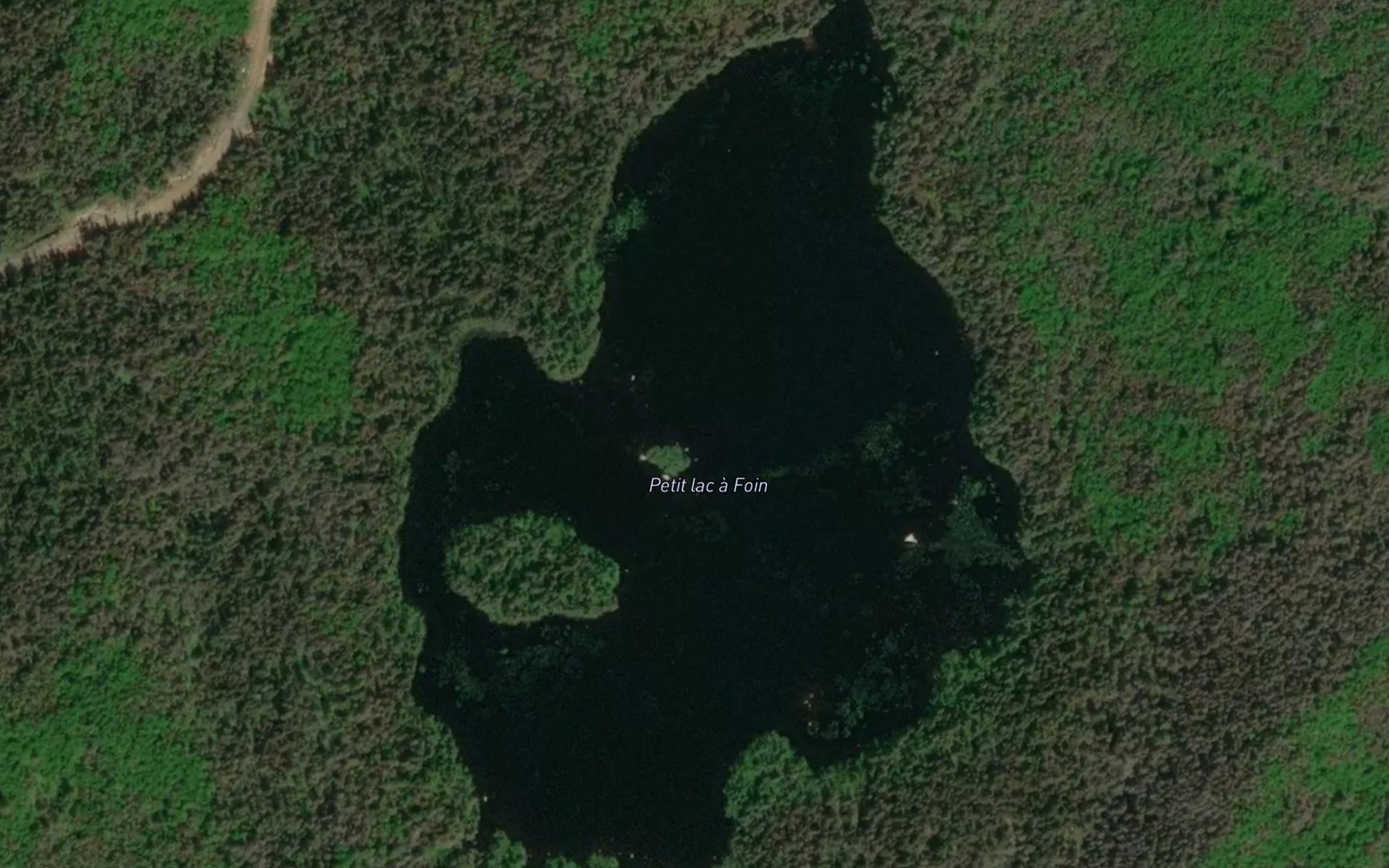 Satellite map of the Petit lac a Foin