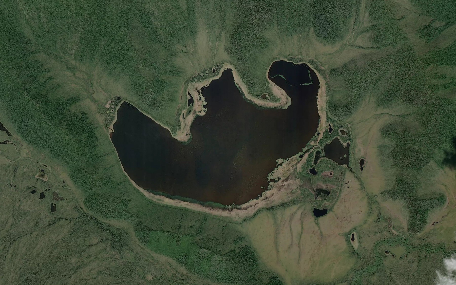 Satellite map of the Carden Lake