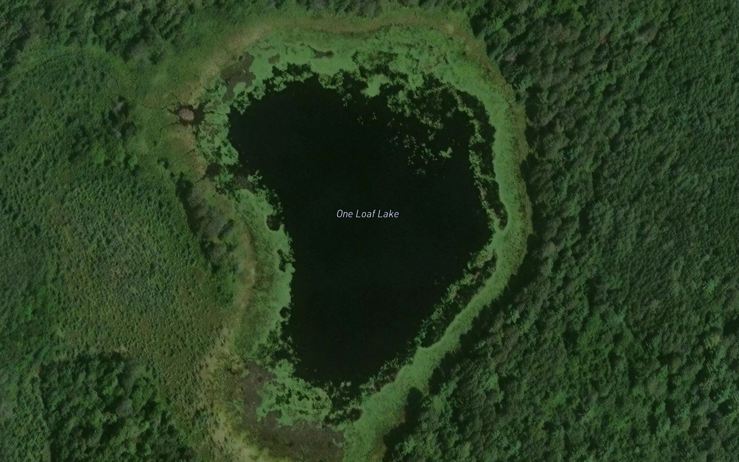 One Loaf Lake