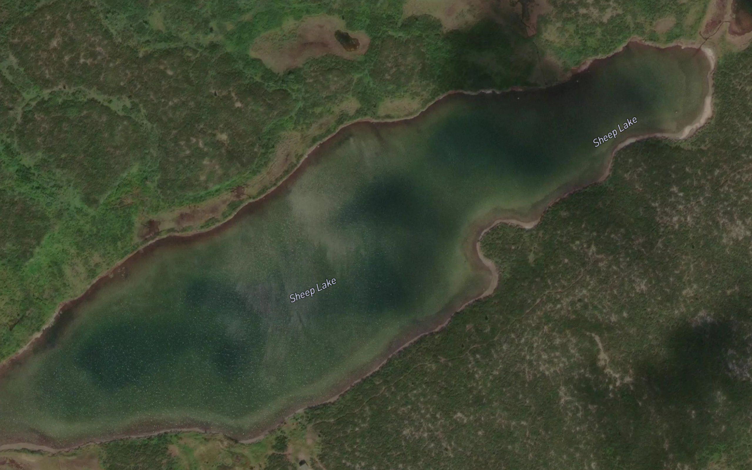 Sheep Lake