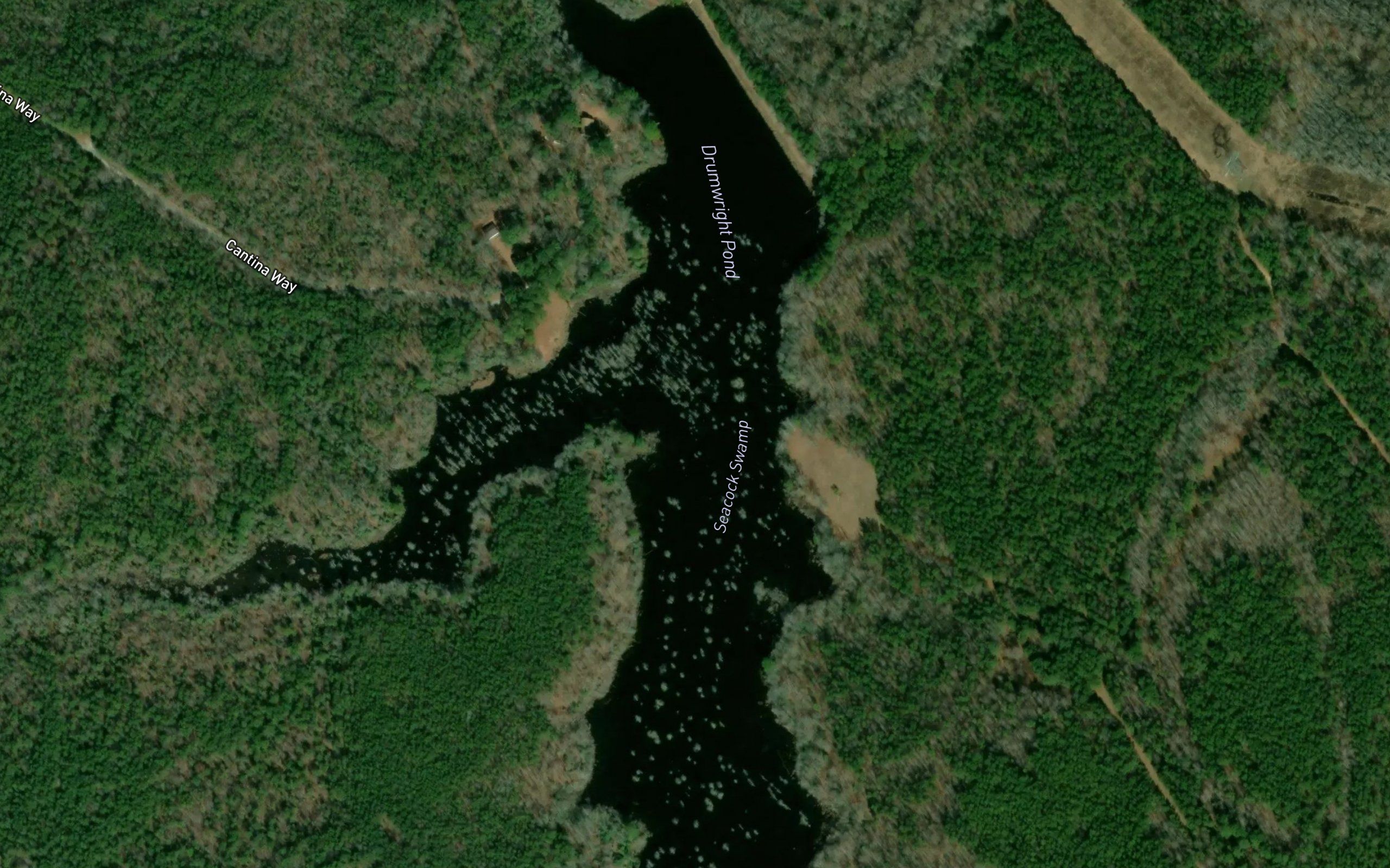 Drumwright Pond