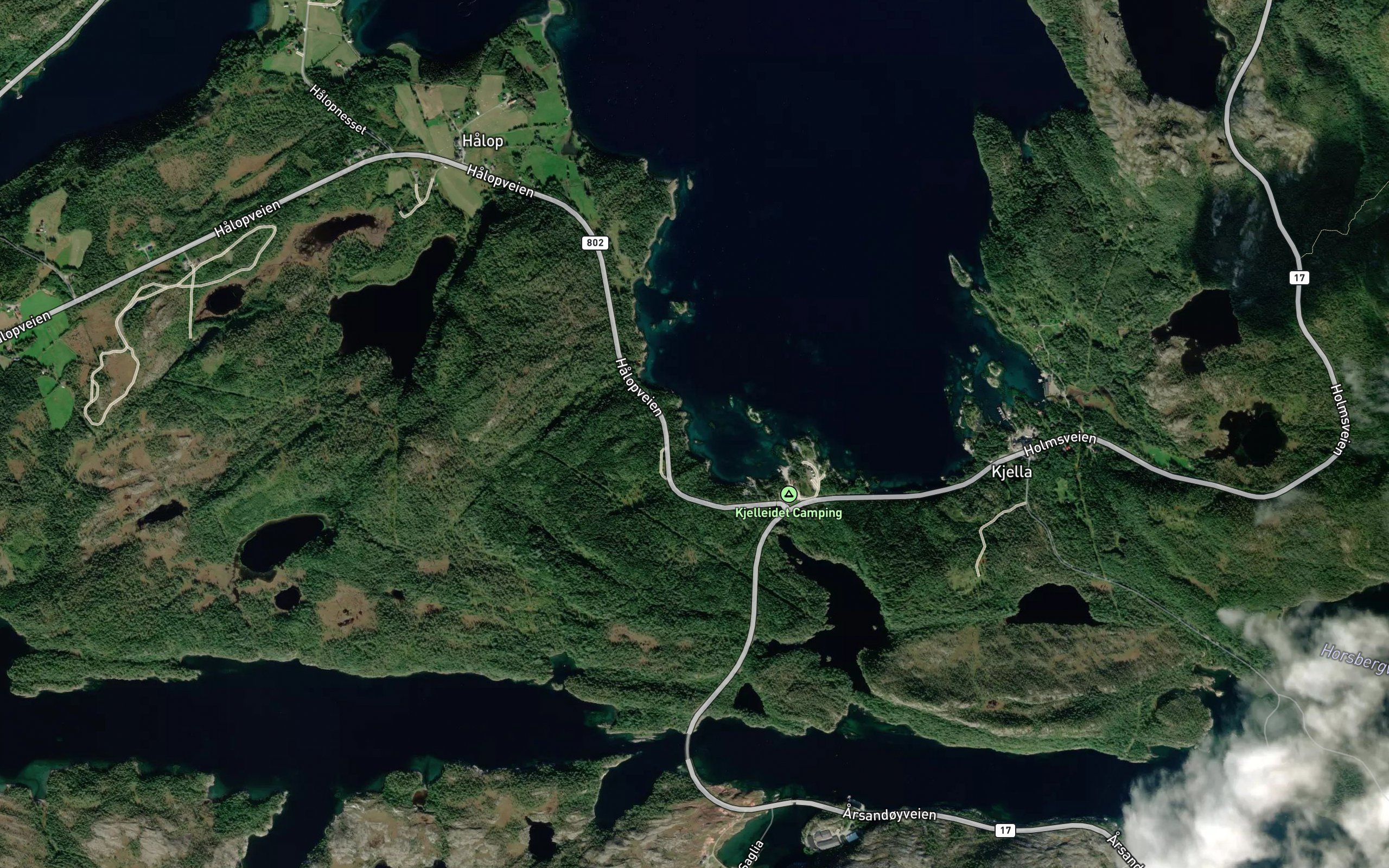 Breivika