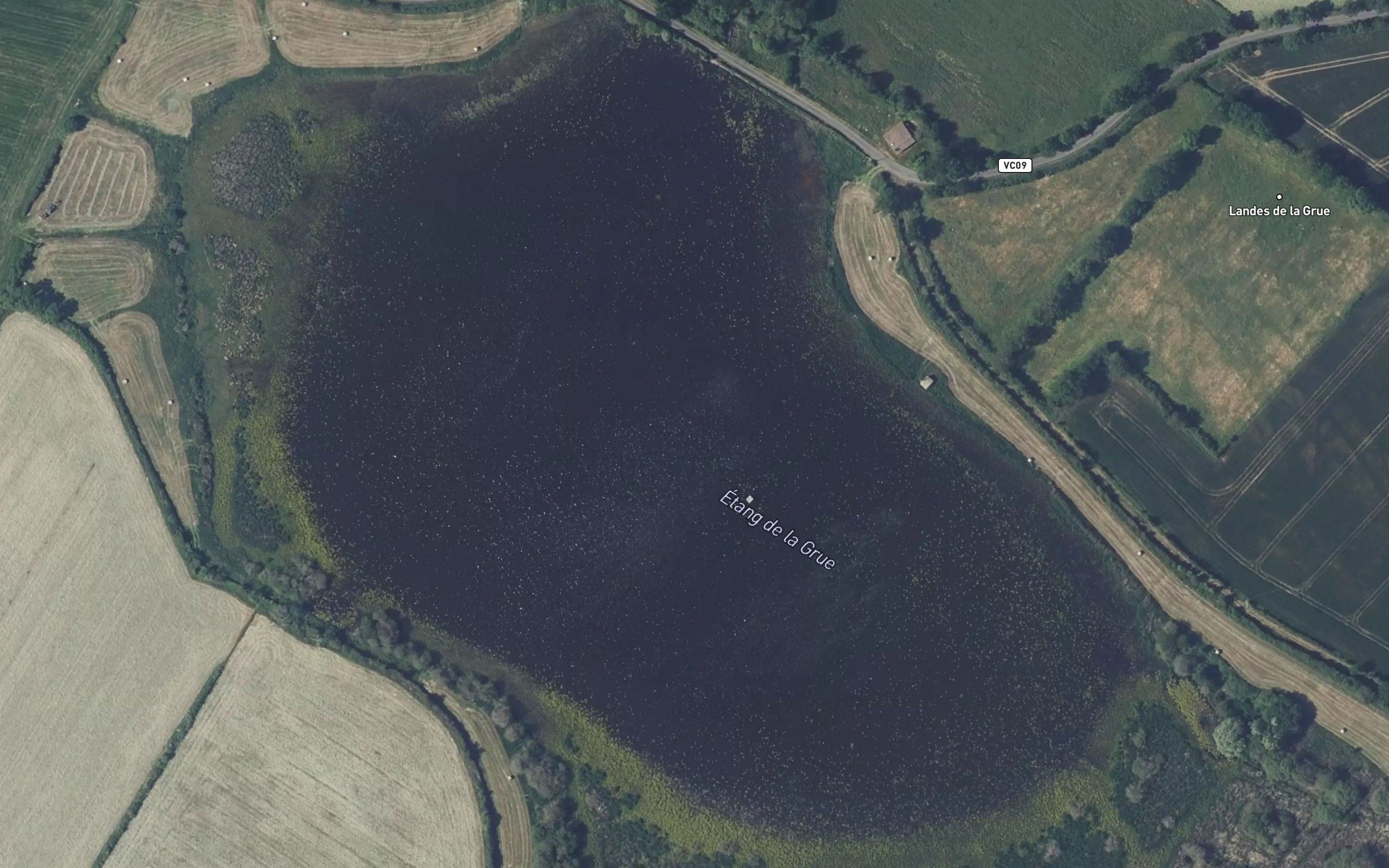 Etang de la Grue