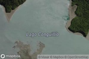 Lago Conguillio